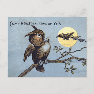 Victorian Owls Postcard