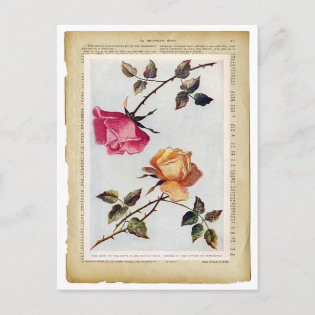 Victorian Pink and Yellow Roses II Postcard (Front)