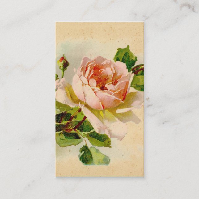 Victorian Pink Rose Business Cards (Front)