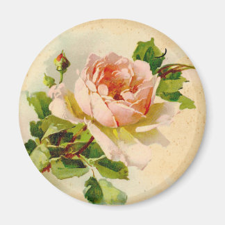 Victorian Pink Rose Magnet