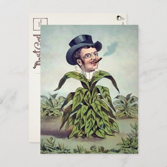 Victorian Plant Man Postcard  (Front/Back)