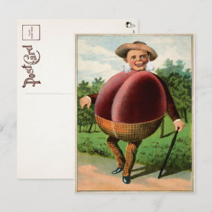 Victorian Plum Man Postcard