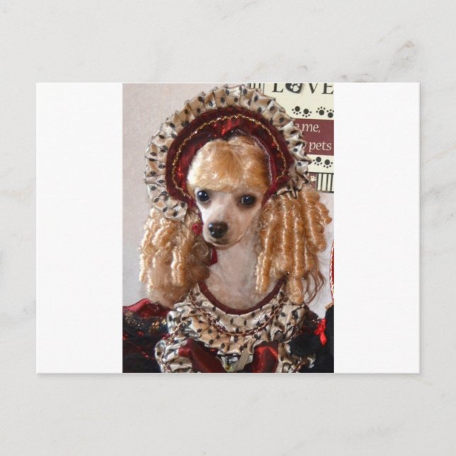 Victorian Poodle Love Dog Pose Postcard (Front)