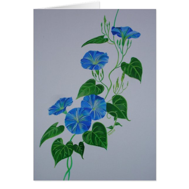 Victorian Style Morning Glory Wildflower Vine (Front)