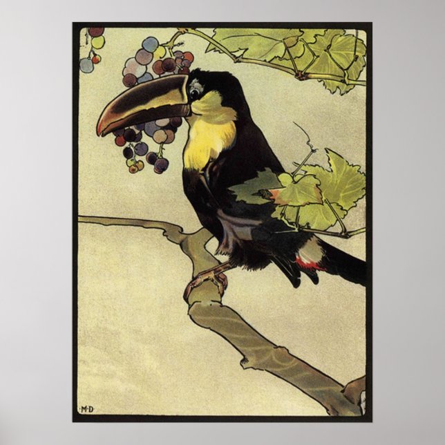 Victorian Toucan Poster (Front)