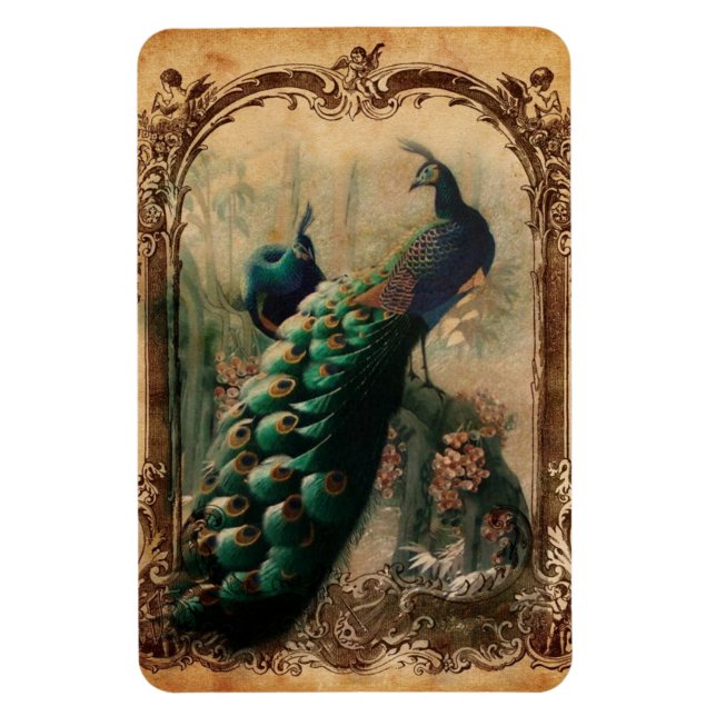victorian vintage floral parisian peacock magnet (Vertical)