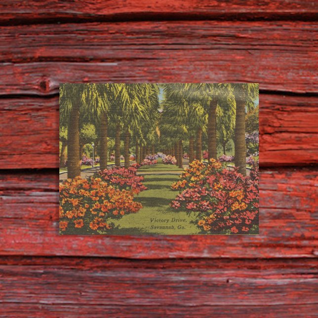 Victory Dr Azaleas Palm Trees Savannah GA retro Postcard (Creator Uploaded)