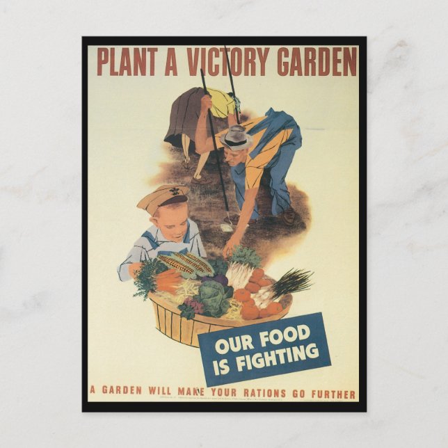 Victory Garden World War 2 Postcard (Front)