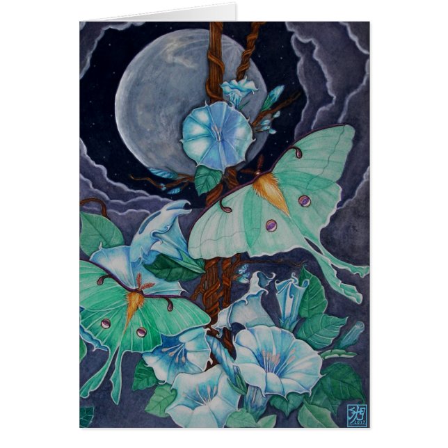 Vida de la Luna (Front)