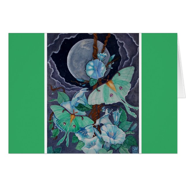 Vida de la Luna (Front Horizontal)