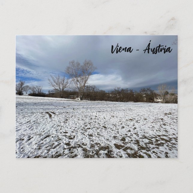 Viena - Áustria  Postcard (Front)
