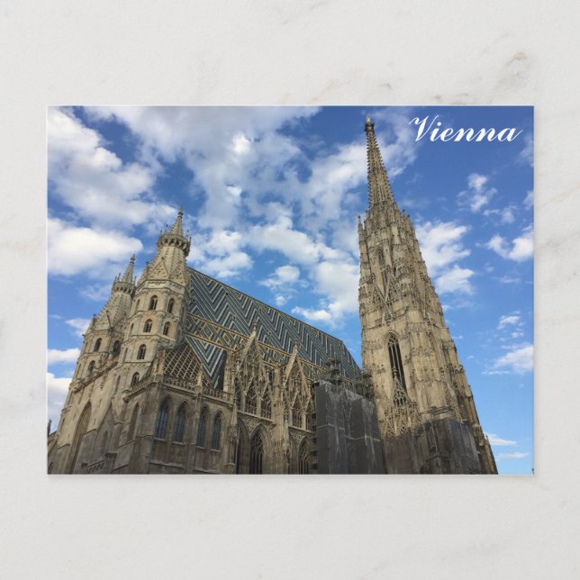 Vienna Austria St. Stephens Cathedral Travel Photo Postcard (Front)
