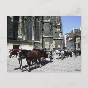 Vienna, Austria, Steffensdom Travel Postcard