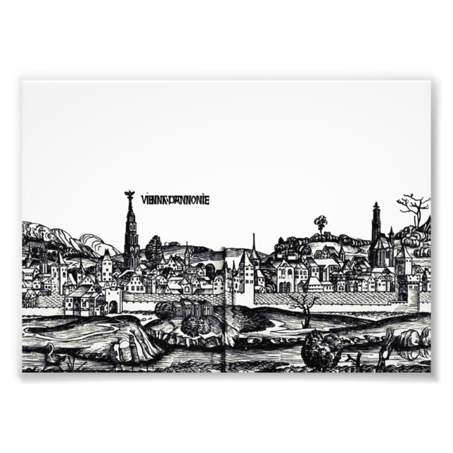 Vienna capital of Austria  Photo Print (Front)