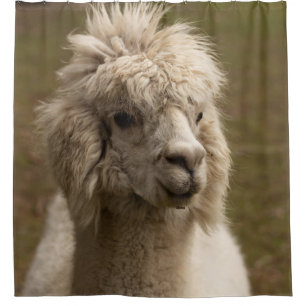 VIENNA WIEN ÖSTERREICH AUSTRIA ALPAKA LAMA ANIMAL  SHOWER CURTAIN