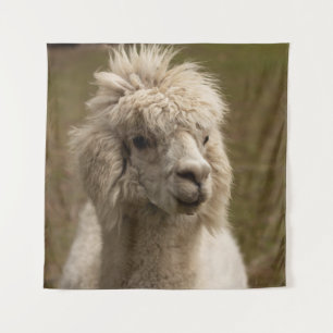 VIENNA WIEN ÖSTERREICH AUSTRIA ALPAKA LAMA ANIMAL  TAPESTRY