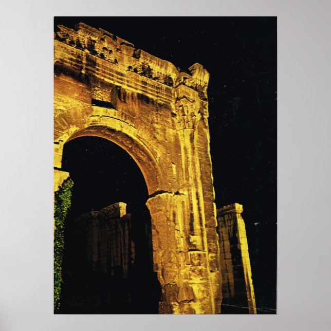Vienne, Gateway to the Forum Poster (Front)