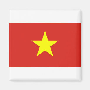 Viet Nam Flag Magnet
