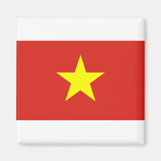 Viet Nam Flag Magnet