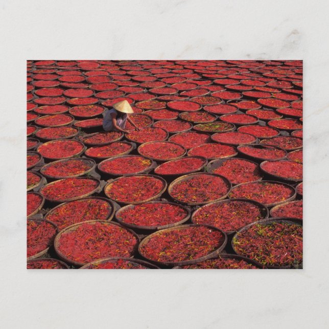 Vietnam. Candy drying in baskets under the Postcard (Front)