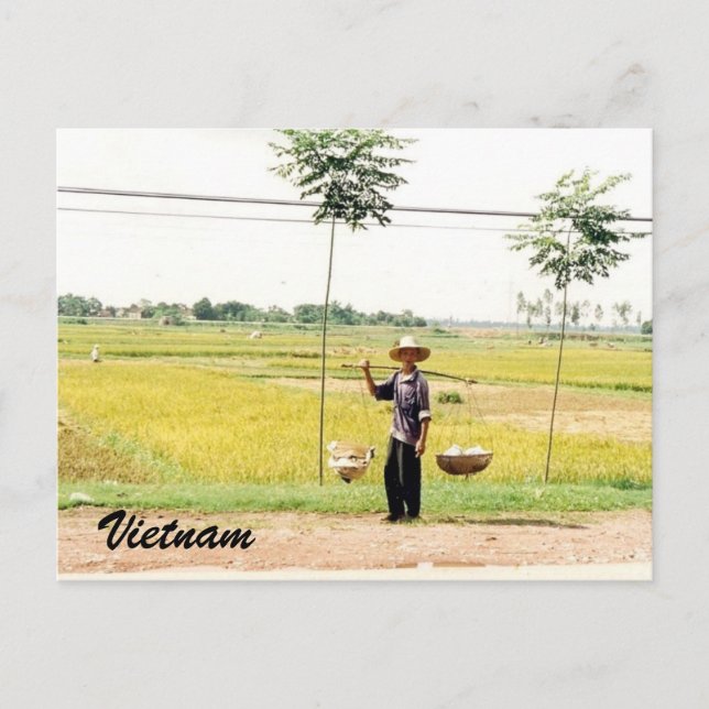 vietnam farmer postcard (Front)