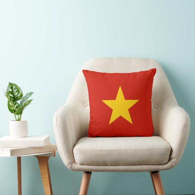 Vietnam flag cushion (Chair)