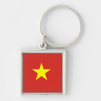 Vietnam flag