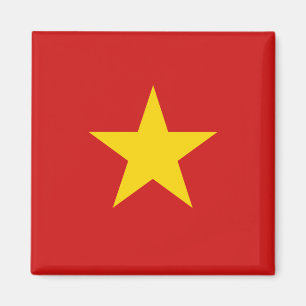 Vietnam Flag Magnet