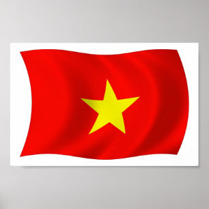 Vietnam Flag Poster Print