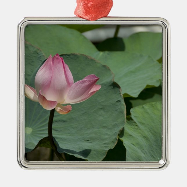 Vietnam, near Saigon) My Tho. Vinh Trang 2 Metal Tree Decoration (Front)