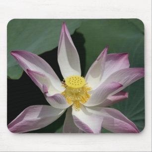 Vietnam, near Saigon) My Tho. Vinh Trang Mouse Pad