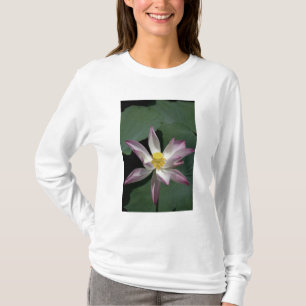 Vietnam, near Saigon) My Tho. Vinh Trang T-Shirt