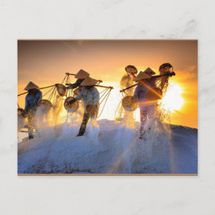 Vietnam Salt Field Postcard