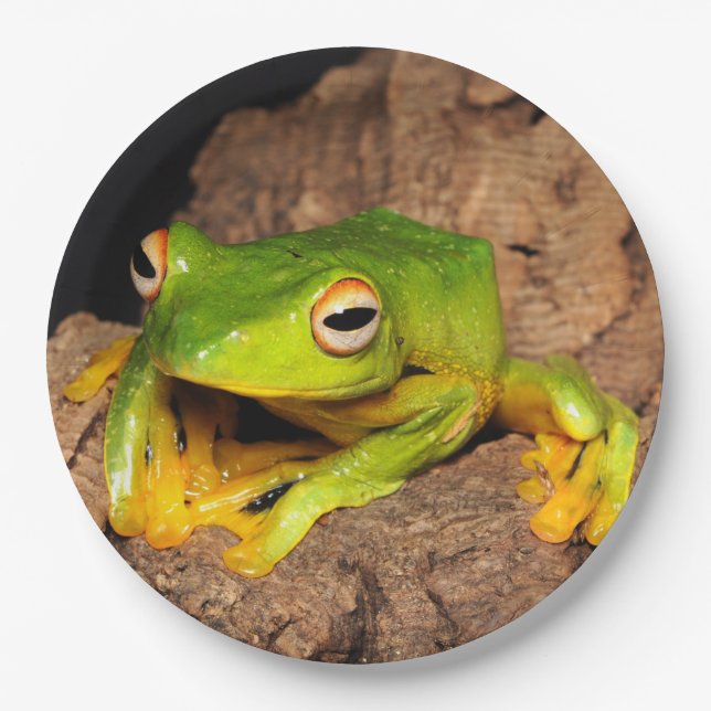 Vietnamese Black-Webbed Gliding Frog Paper Plate (Front)