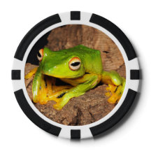 Vietnamese Black-Webbed Gliding Frog