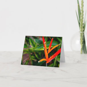 Vietnamese Heliconia All Occasion Notecard