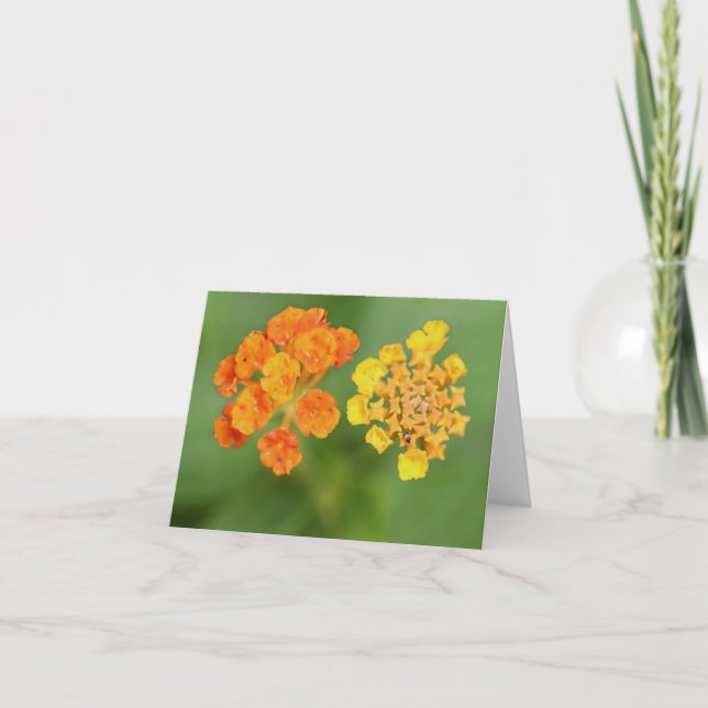Vietnamese Lantana All Occasion Notecard (Front)