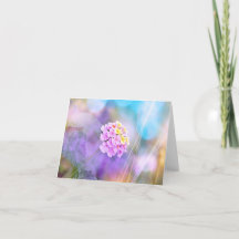 Vietnamese Lantana All Occasion Notecard