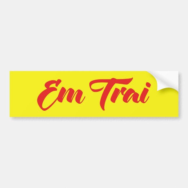 Vietnamese (Young) Brother - Em Trai ~ Tiếng Việt Bumper Sticker (Front)
