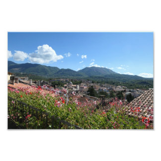 View Across Rotonda Photo Print