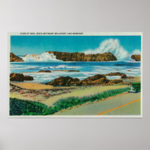 View at Seal Rock between Waldport and Newport Poster