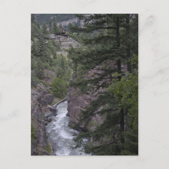 view @ box canyon falls walkway postcard (Front)