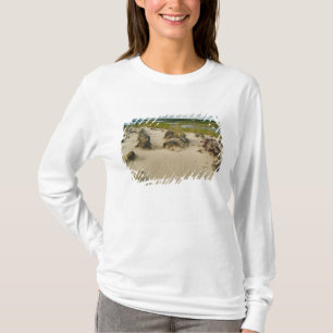View from a sandy hilltop of lakes and hills on T-Shirt