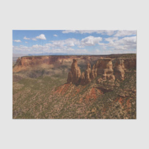 View from Canyon Rim Trail at Colorado Monument Tissue Paper