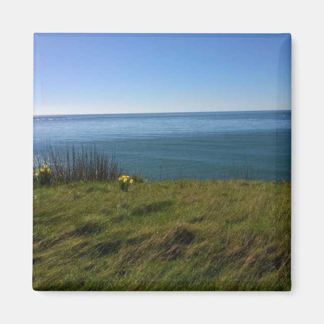 View from Cape Disappointment Lighthouse, Wash. Magnet (Front)