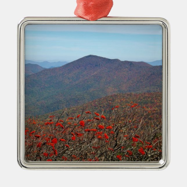 View from Craggy Dome Mountain Metal Tree Decoration (Front)