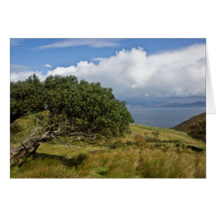 View from Drung Hill