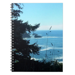View from Hart's Cove, Oregon Coast Notebook