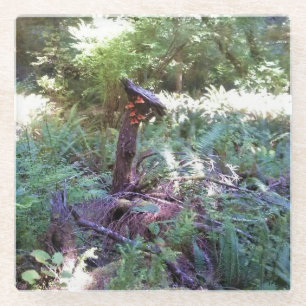 View from Hart's Cove Trail, Oregon Coast Glass Coaster
