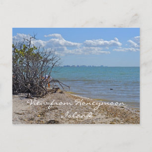 View from Honeymoon Island Postcard